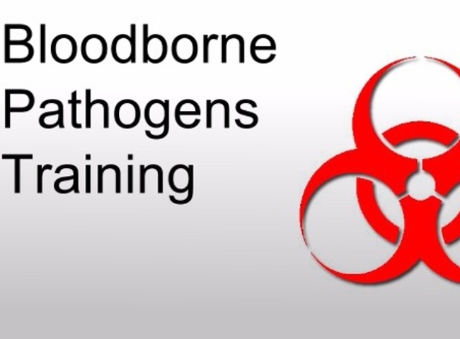 Employee Safety: Bloodborne Pathogens